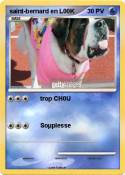 saint-bernard