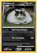 Fat Kitten