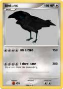 Bird