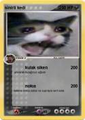 sinirli kedi