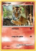 bébé tigre