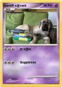 mastiff s@vant