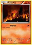 Forest Fire