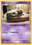 chat et téléphon