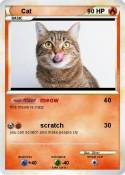 Cat