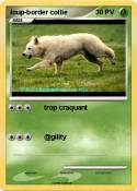 loup-border col