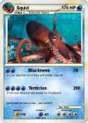 Squid