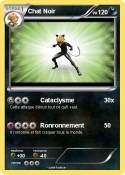 Chat Noir