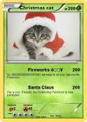 Christmas cat