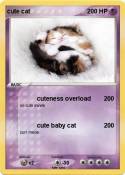 cute cat