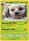 DIN HUND