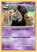 tigre , ours