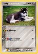 husky