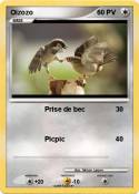 Oizozo