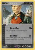BIGFOX
