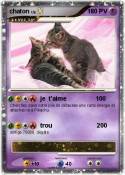 chaton