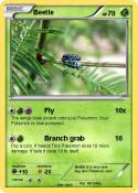 Beetle