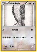 Falcon body