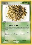 oregano