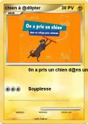 chien à @d0pter