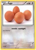 eggs
