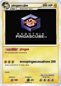 pingascube
