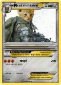 cat militaire