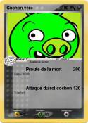 Cochon vère