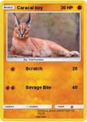 Caracal boy