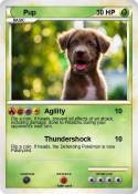 Pup