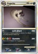 Pugachu