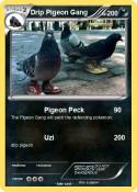 Drip Pigeon