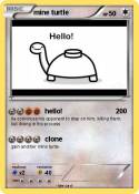 mine turtle