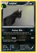 Hollyleaf