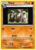 Pitbull