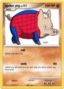 spdier pig