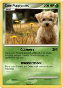 Cute Puppy