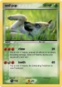wolf pup