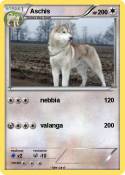 Aschis