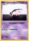 CHAT CHAUSSUER