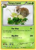 Hungry Rabbit