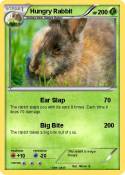 Hungry Rabbit