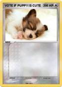 VOTE IF PUPPY