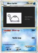 Mine turtle!
