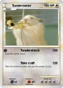 Tunderowner