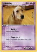 guilty dog
