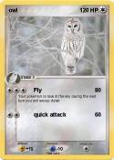 owl