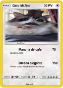 Gato Mr.fino