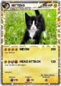 MITTENS