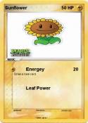 Sunflower